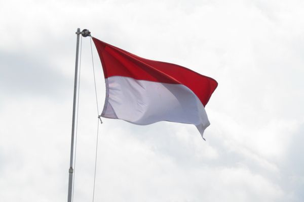 VTubers and Gamers Affected by Indonesia's Website Ban